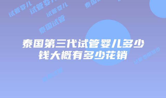 泰国第三代试管婴儿多少钱大概有多少花销