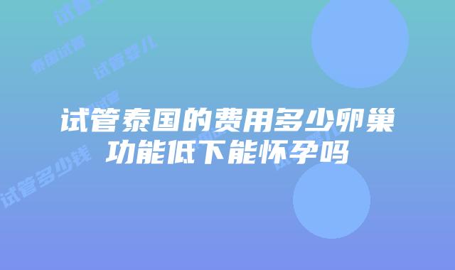 试管泰国的费用多少卵巢功能低下能怀孕吗