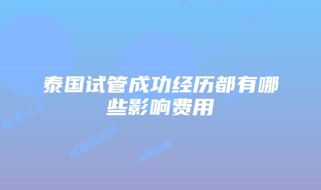 泰国试管成功经历都有哪些影响费用