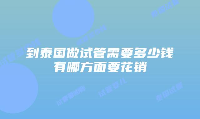 到泰国做试管需要多少钱有哪方面要花销