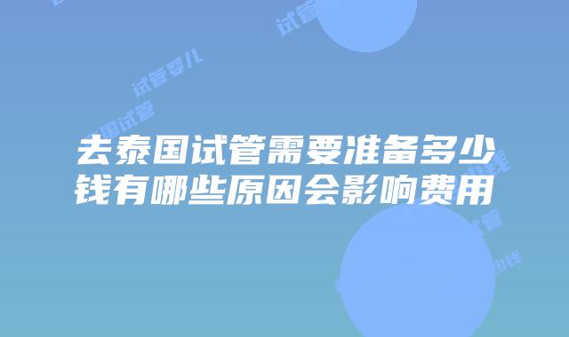 去泰国试管需要准备多少钱有哪些原因会影响费用