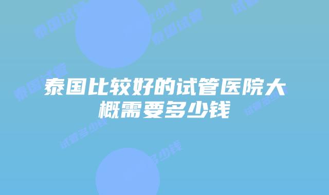 泰国比较好的试管医院大概需要多少钱