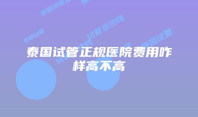 泰国试管正规医院费用咋样高不高
