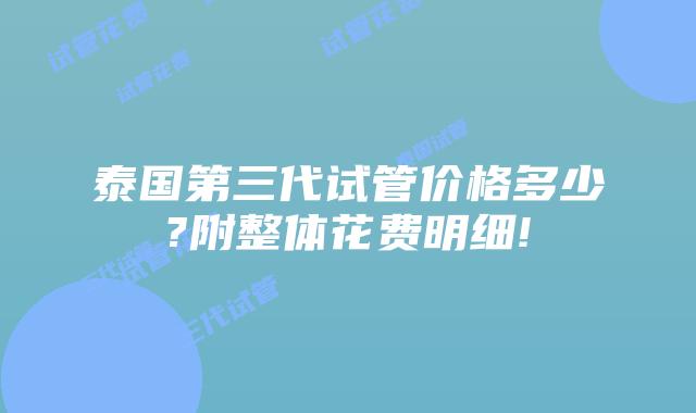 泰国第三代试管价格多少?附整体花费明细!