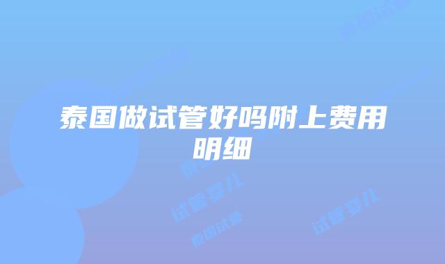 泰国做试管好吗附上费用明细