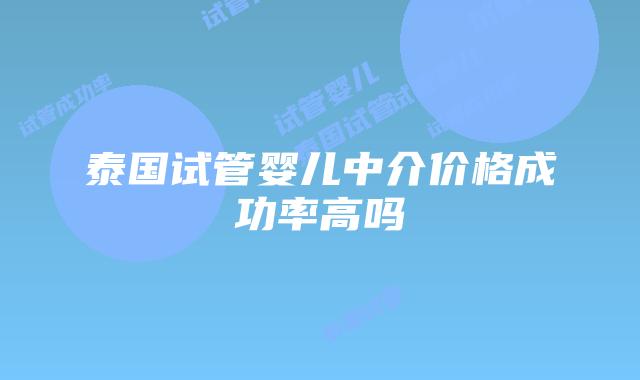 泰国试管婴儿中介价格成功率高吗