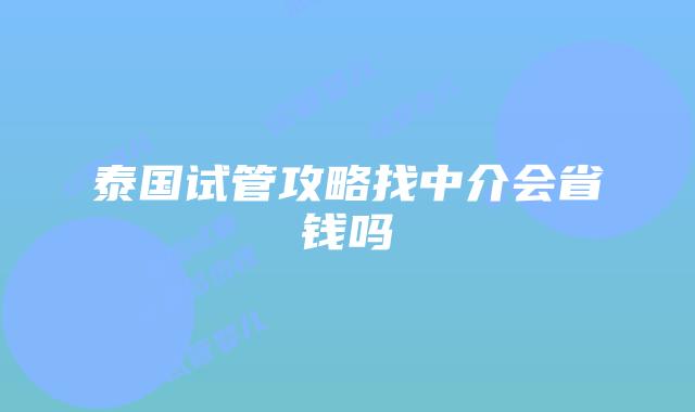 泰国试管攻略找中介会省钱吗
