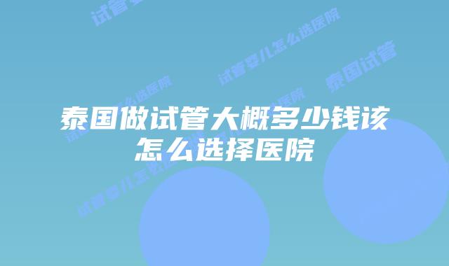 泰国做试管大概多少钱该怎么选择医院