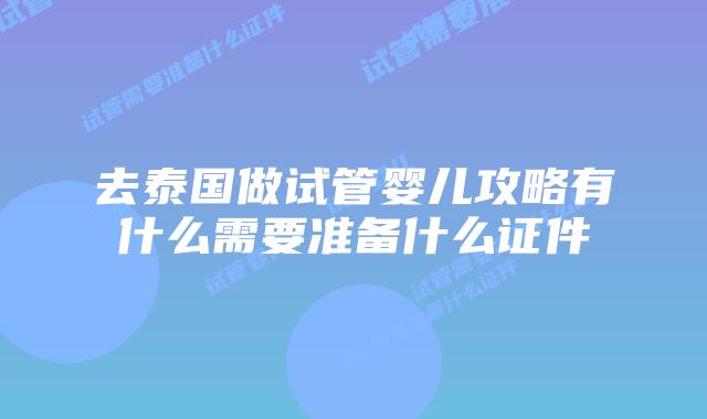 去泰国做试管婴儿攻略有什么需要准备什么证件