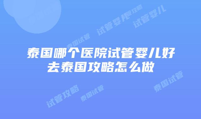 泰国哪个医院试管婴儿好去泰国攻略怎么做