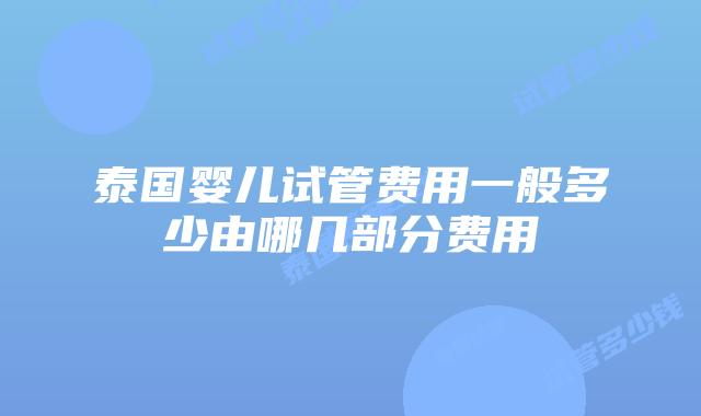 泰国婴儿试管费用一般多少由哪几部分费用