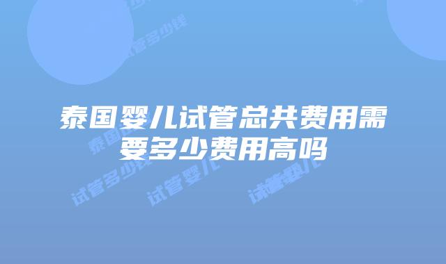 泰国婴儿试管总共费用需要多少费用高吗