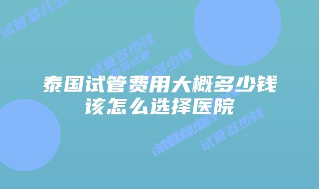 泰国试管费用大概多少钱该怎么选择医院