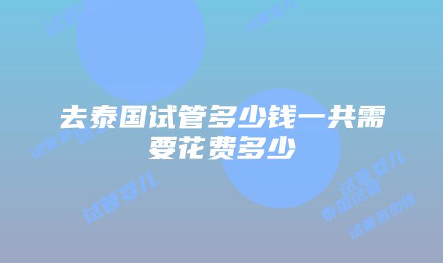 去泰国试管多少钱一共需要花费多少