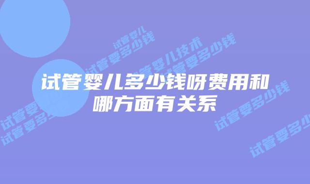 试管婴儿多少钱呀费用和哪方面有关系