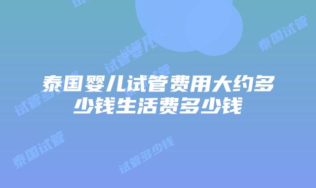 泰国婴儿试管费用大约多少钱生活费多少钱
