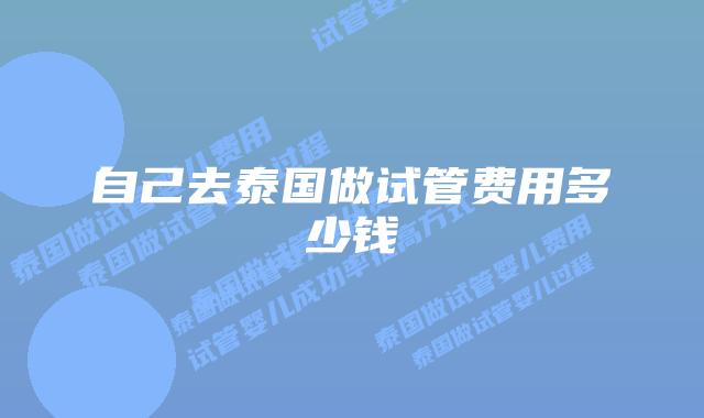 自己去泰国做试管费用多少钱