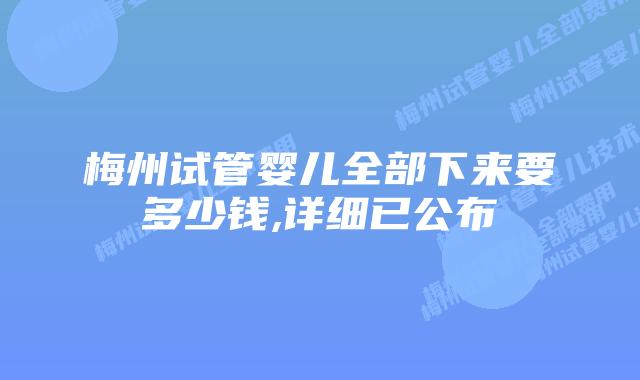 梅州试管婴儿全部下来要多少钱,详细已公布