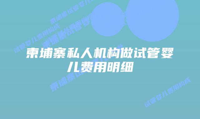 柬埔寨私人机构做试管婴儿费用明细