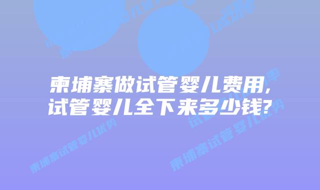 柬埔寨做试管婴儿费用,试管婴儿全下来多少钱?