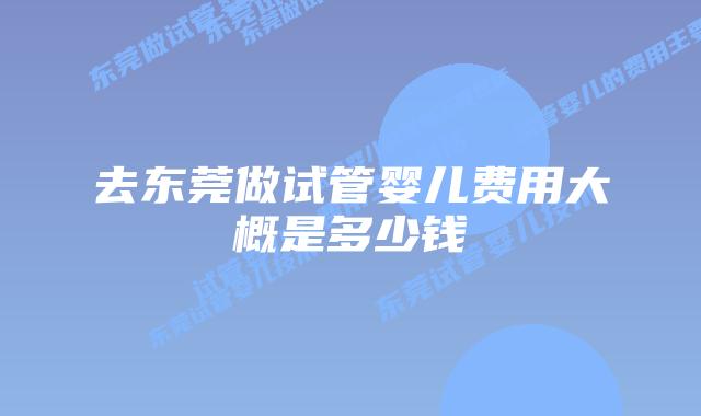 去东莞做试管婴儿费用大概是多少钱