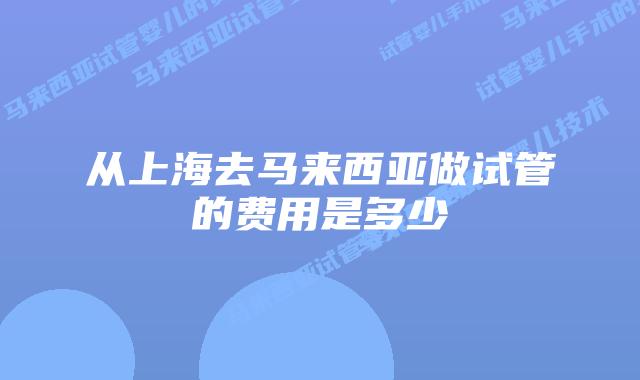 从上海去马来西亚做试管的费用是多少