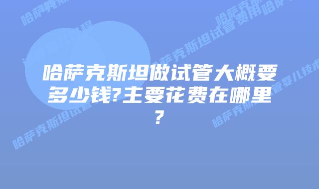 哈萨克斯坦做试管大概要多少钱?主要花费在哪里?