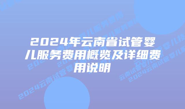 2024年云南省试管婴儿服务费用概览及详细费用说明