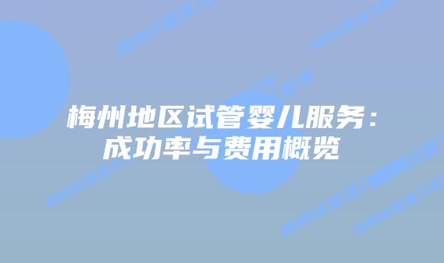 梅州地区试管婴儿服务:成功率与费用概览