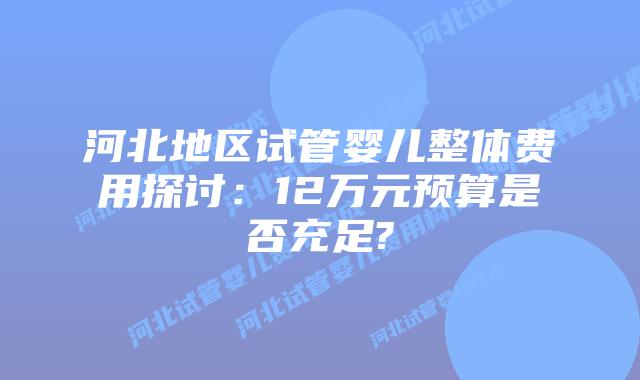 河北地区试管婴儿整体费用探讨:12万元预算是否充足?