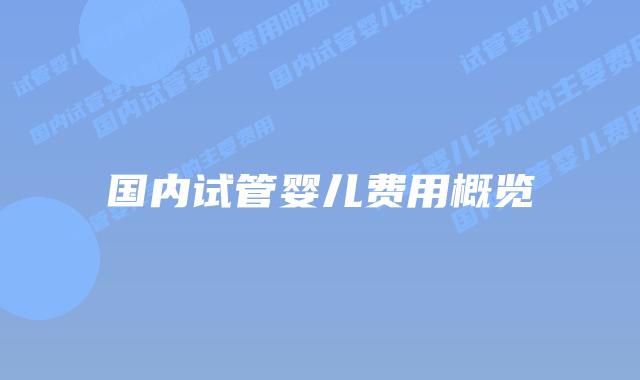 国内试管婴儿费用概览