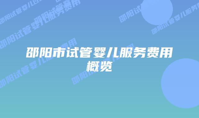 邵阳市试管婴儿服务费用概览