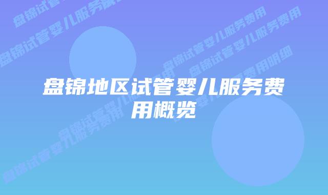 盘锦地区试管婴儿服务费用概览