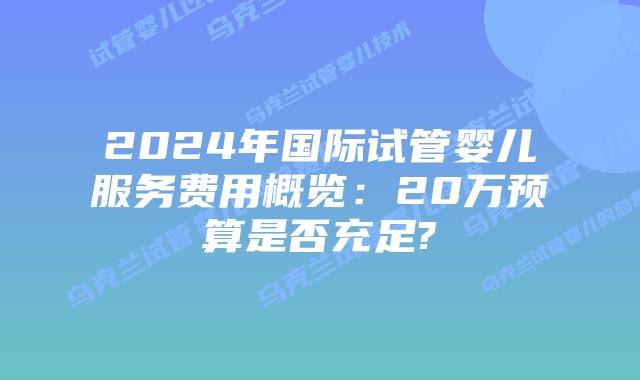 2024年国际试管婴儿服务费用概览：20万预算是否充足?