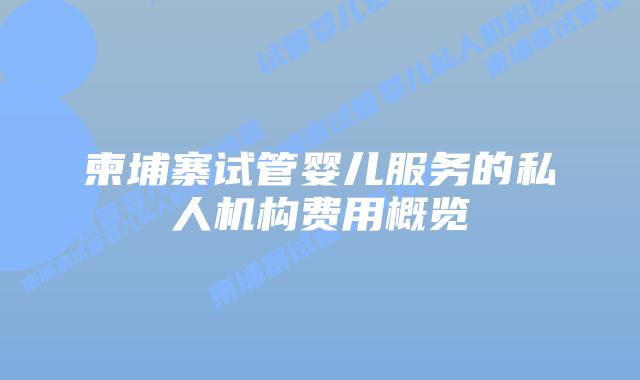 柬埔寨试管婴儿服务的私人机构费用概览