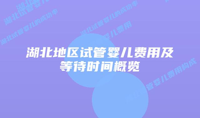 湖北地区试管婴儿费用及等待时间概览