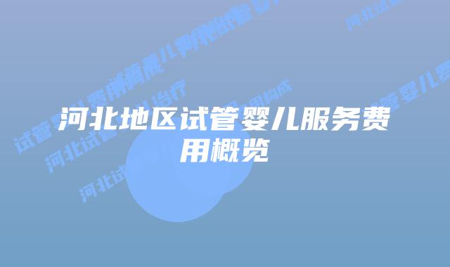 河北地区试管婴儿服务费用概览