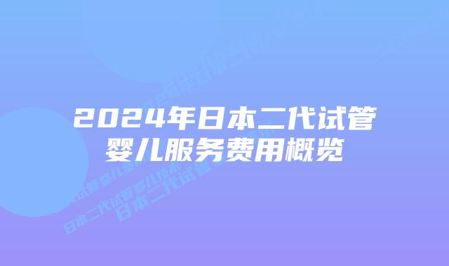 2024年日本二代试管婴儿服务费用概览