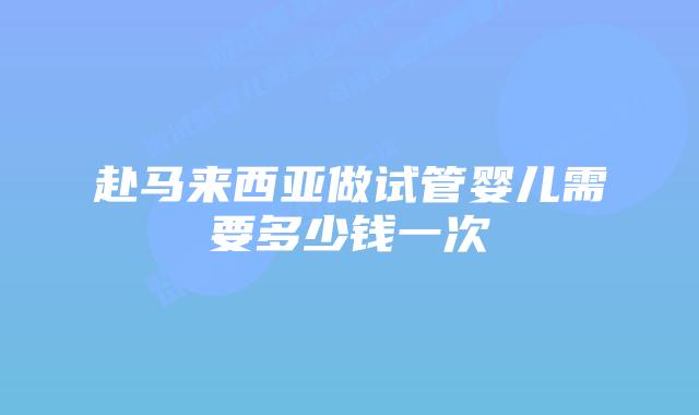 赴马来西亚做试管婴儿需要多少钱一次