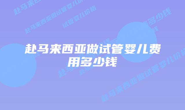 赴马来西亚做试管婴儿费用多少钱