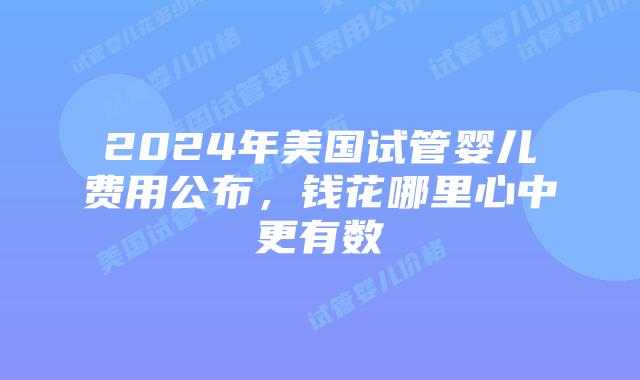 2024年美国试管婴儿费用公布,钱花哪里心中更有数