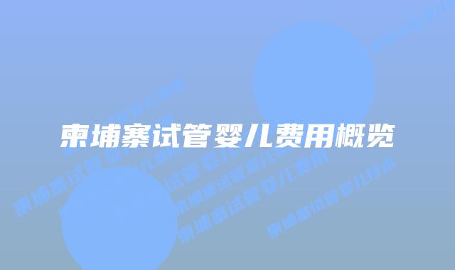 柬埔寨试管婴儿费用概览