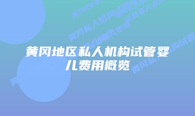 黄冈地区私人机构试管婴儿费用概览