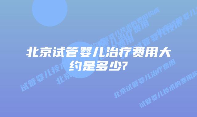 北京试管婴儿治疗费用大约是多少?