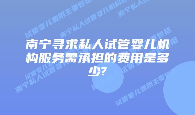 南宁寻求私人试管婴儿机构服务需承担的费用是多少?