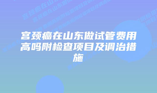 宫颈癌在山东做试管费用高吗附检查项目及调治措施