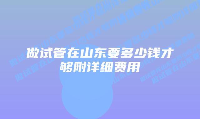 做试管在山东要多少钱才够附详细费用
