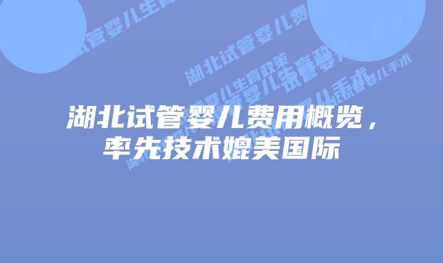 湖北试管婴儿费用概览,率先技术媲美国际