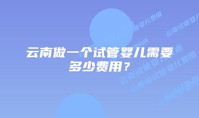 云南做一个试管婴儿需要多少费用?