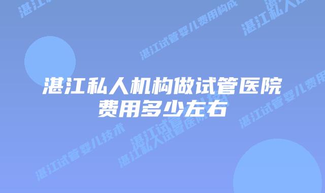 湛江私人机构做试管医院费用多少左右